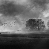 B&W Athens Photography