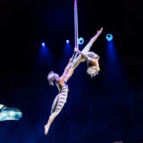 OVO_20-12 _MA73523HR